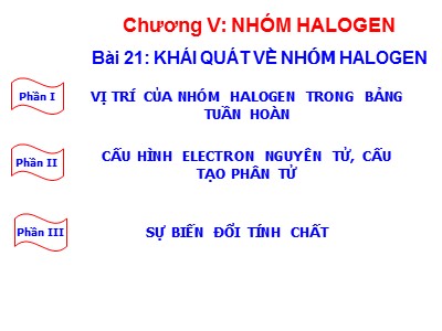 Bài giảng Hóa học 10 - Bài 21: Khái quát về nhóm halogen