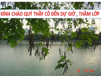 Bài giảng Ngữ văn 10 - Cảnh ngày hè (Bảo kính cảnh giới – 43) Nguyễn Trãi