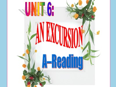 Bài giảng Tiếng Anh 10 (Sách cũ) - Unit 6: An excursion - A: Reading