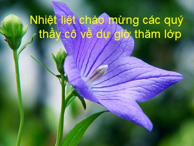 Bài giảng Tin học 10 - Bài 19: Tạo bảng và làm việc với bảng